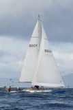 scintilla of the sea 920y whyw25 sun 800_7034